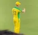 david warner dances again for butta bomma song