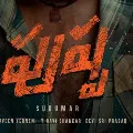 Allu Arjuns Pushpa shoot postponed again