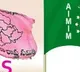 MIM tries to block TRS campaign in Hyderabad old city