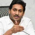 May you be blessed with good health peace and a long life in public service says chandrababu ktr