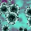 CDC Says Corona Virus Doesnot spread over currency notes and papers