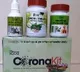 Center Okys Coronil of Patanjali with Conditions