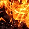 collector forms committee to investigate vizag fire accident