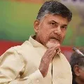 Chandrababu comments on Snehalatha murder issue