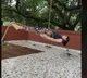 adah sharma video viral