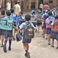 Schools in Telangana will reopen from July 1st