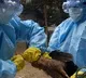 Bird flu symptoms in crows owls and pigeons says Center