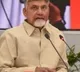 chandra babu slams ycp