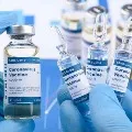 Experts committee will be announced decision on corona vaccine emergency use