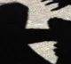 Driver Kidnap Employeer Twins in Mumbai