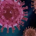 7 members in a family infected to covid