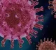 7 members in a family infected to covid