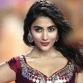 Pooja Hegde in a bilingual movie