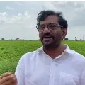 Somireddy responds on attacks over dalits in state