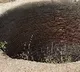 villagers find strange animal in a well in east godavari