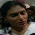My ambition is to take back Rajanna Rajyam in Telangana says YS Sharmila