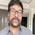 bathukamma wishes chiru
