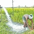 New rules in free electricity programme for agriculture in AP