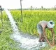 New rules in free electricity programme for agriculture in AP