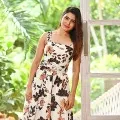 Director changed in Samanthas film