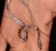 1 year old boy swallows baby snake while playing