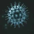 AP Corona cases media update
