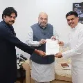 Janasena chief Pawan Kalyan met union home minister Amit Shah
