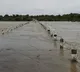 Heavy rains in the upper regions rising Godavari water level