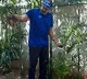 Nagababu accepts Green India Challenge and planted saplings in his house