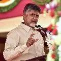 Chandrababu says government behavior suspicious in Eluru incident