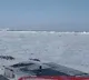 Corona virus touched Antarctica