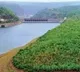 Heavy Flood in Krishna River