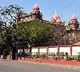 Telangana high court orders state government illegal killing of animals