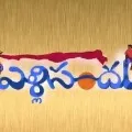 raghavendra rao new movie
