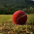 Australia struggling to manage T20 World Cup Increased hopes on IPL