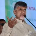 Chandrababu alleges AP government gifted Vijayasai Reddy on his birthday