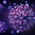 20 more UK returnees detected with new COVID 19 strain