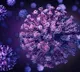 20 more UK returnees detected with new COVID 19 strain