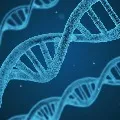 rockefeller university says changes in genes and antibodies are the main cause in covid deaths