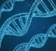 rockefeller university says changes in genes and antibodies are the main cause in covid deaths