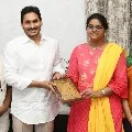 EAMCET Agriculture top ranker Chaitanya Sindhu met CM Jagan