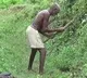 Another Manjhi from Bihar as man craved a canal for thirty years
