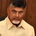 chandrababu on governer orders