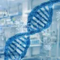 Coronavirus plays tricks in human body by releasing Enzyme
