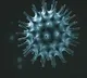 US doctors say corona will be re infected to who got once