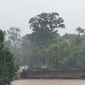 More rains to be come in North Andhra