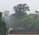 More rains to be come in North Andhra