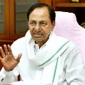 Telangana CM KCR donated to Nellore Swarnamukhi Temple