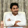 CM Jagan comments on TDP Chief Chandrababu