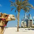 Indians tops Dubai real estate investments charts